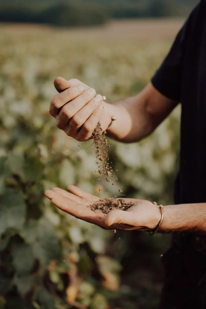 Soil crumbled between a grower's hands