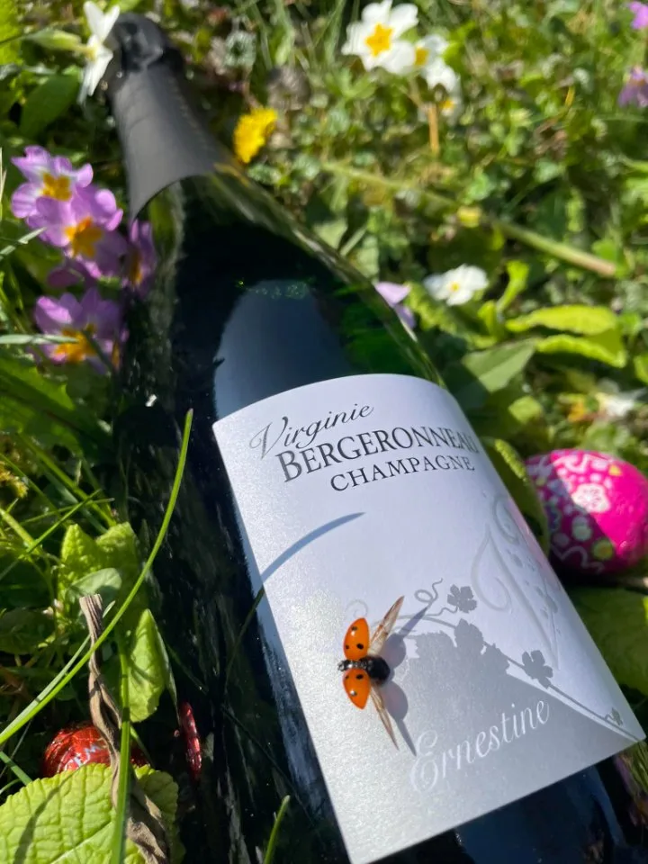 Cuvée Ernestine lying in spring flowers, a ladybird on the label