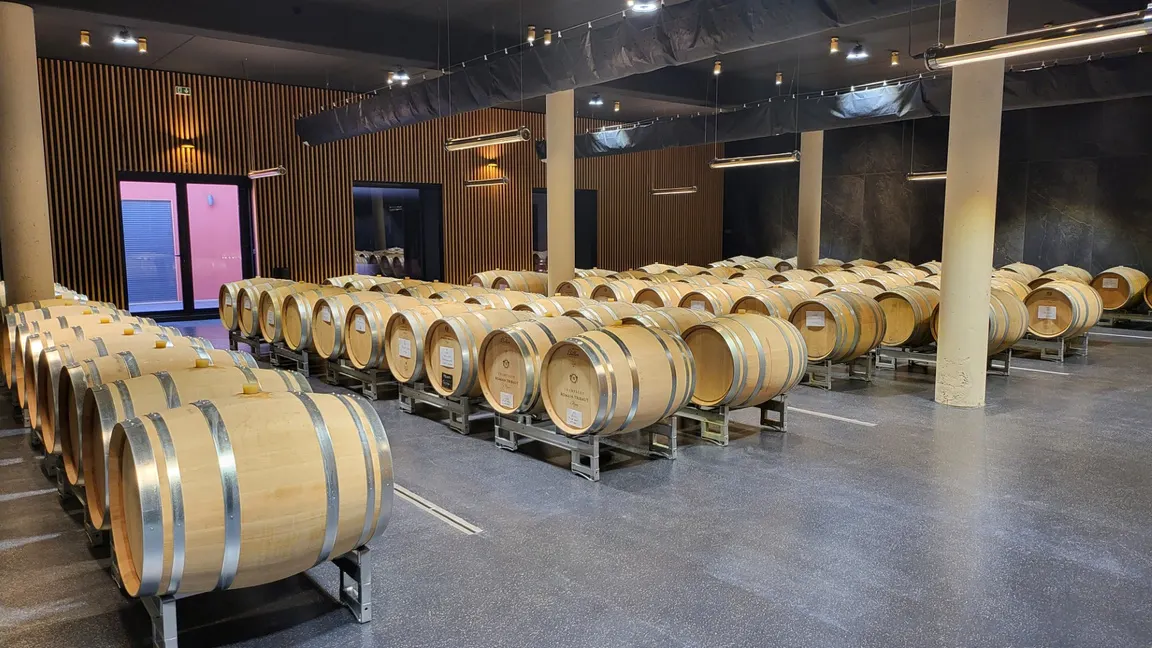 Barrel room at Champagne Romain Tribaut