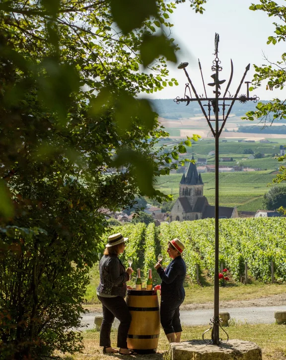 Vines above Villedommange