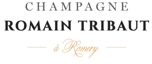 Champagne Romain Tribaut, à Romery